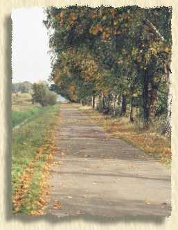 Wander- und  Radweg  im Spreewald